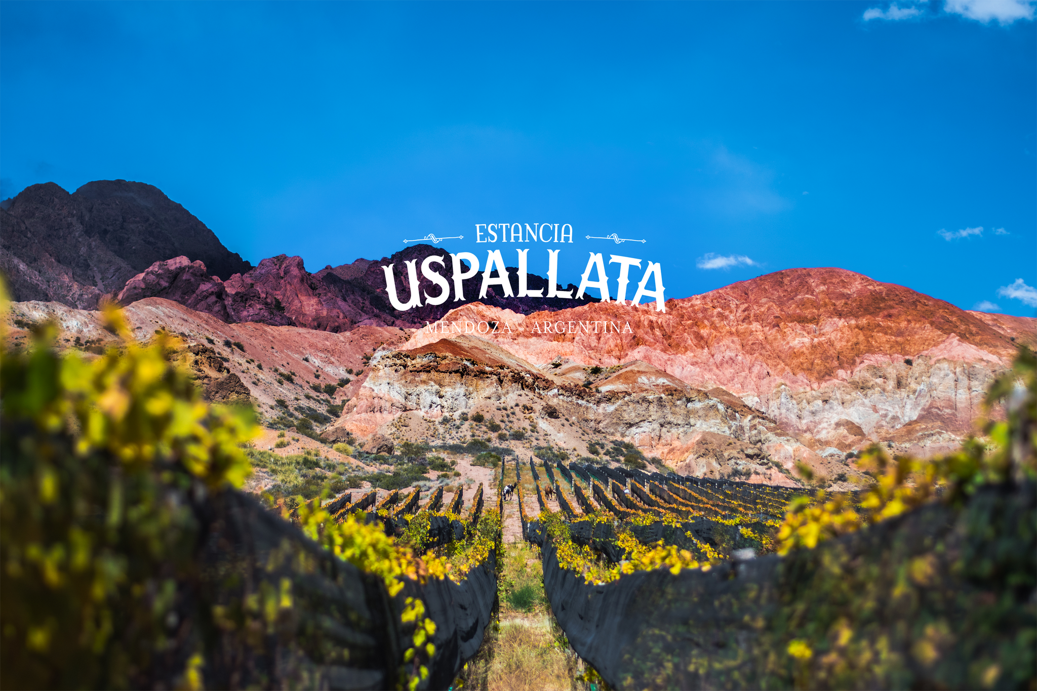 Producer: Uspallata