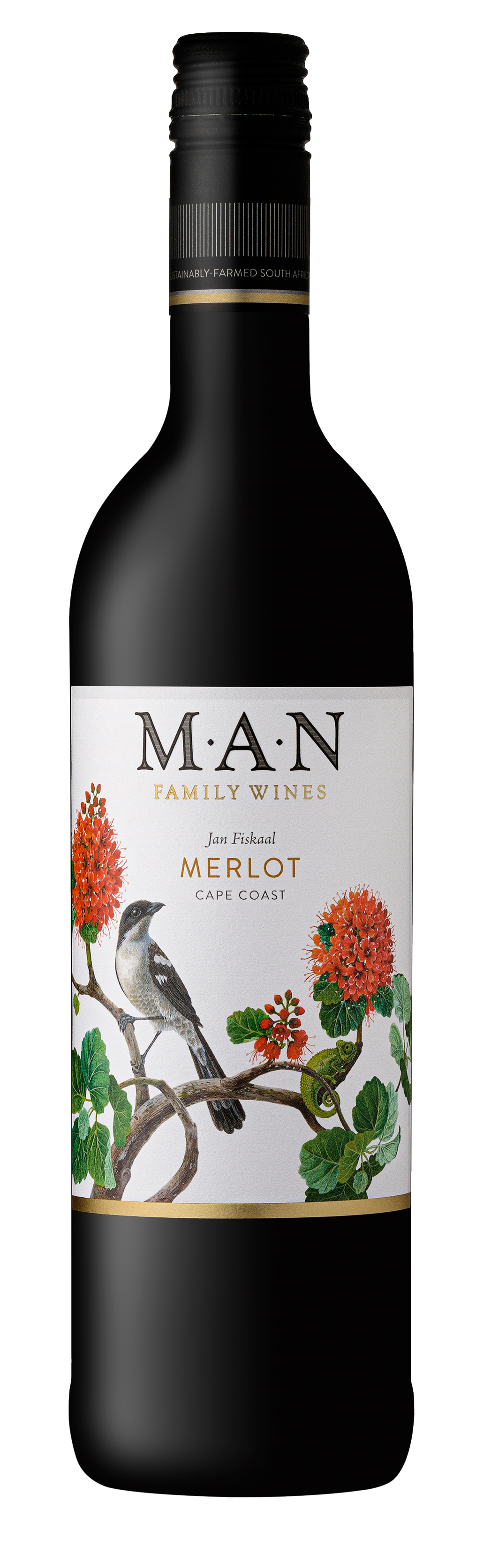 MAN Family Wines<br />2022 Merlot<br>South Africa