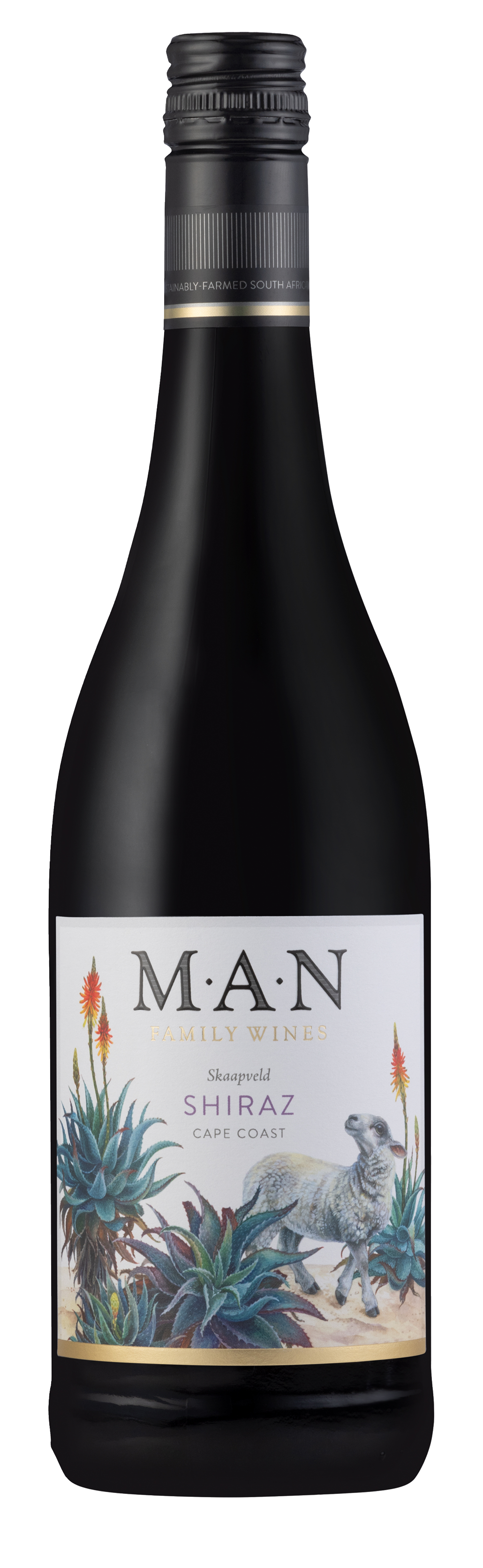 MAN Family Wines<br />2023 Shiraz<br>South Africa