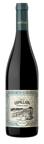 Estancia Uspallata<br />2016 Pinot Noir<br>Argentina