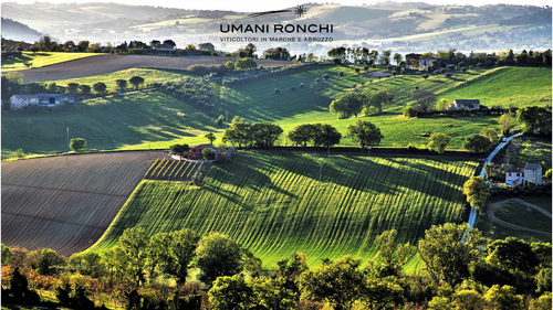 Discover Umani Ronchi